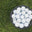Total Control Golf logo